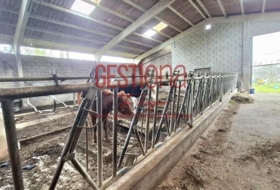 Foto 15