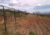 Xalet independent amb terreny en venda a la España, Lubrín, ref.: TR366798 foto