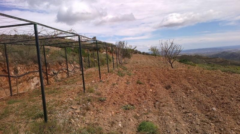 Альмерия - Lubrín - 14000m2