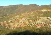 Xalet independent amb terreny en venda a la España, Lubrín, ref.: TR366798 foto