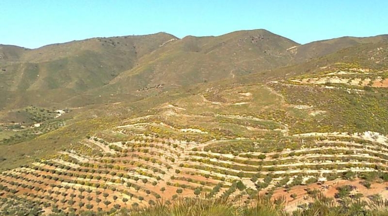 Альмерия - Lubrín - 14000m2