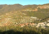 Xalet independent amb terreny en venda a la España, Lubrín, ref.: TR366798 foto