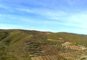 Xalet independent amb terreny en venda a la España, Lubrín, ref.: TR366798 foto