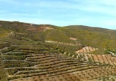 Xalet independent amb terreny en venda a la España, Lubrín, ref.: TR366798 foto