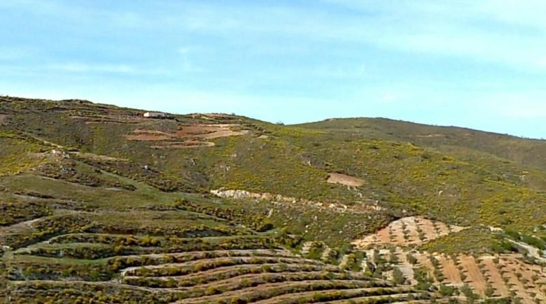 Альмерия - Lubrín - 14000m2