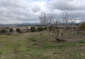 Загородный дом с участком на продажу в городе Medina Sidonia Фото