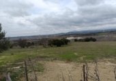 Загородный дом с участком на продажу в городе Medina Sidonia Фото