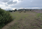 Загородный дом с участком на продажу в городе Medina Sidonia Фото
