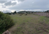 Загородный дом с участком на продажу в городе Medina Sidonia Фото