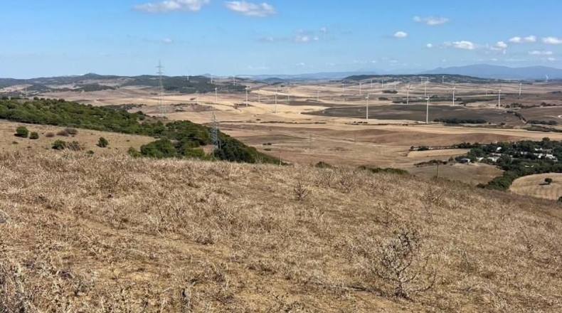 Кадис - Vejer de la Frontera - 80000m2
