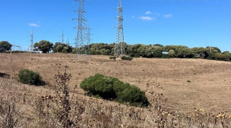 Кадис - Vejer de la Frontera - 80000m2
