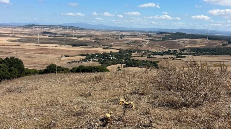Кадис - Vejer de la Frontera - 80000m2