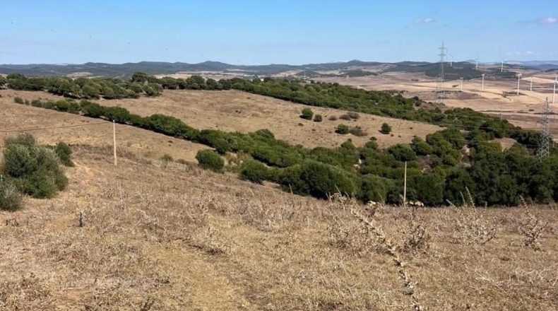 Кадис - Vejer de la Frontera - 80000m2