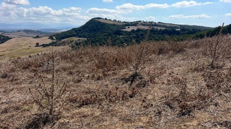 Кадис - Vejer de la Frontera - 80000m2
