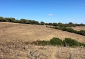 Parcel·la urbanitzable en venda a la España, Vejer de la Frontera, ref.: TR345682 foto
