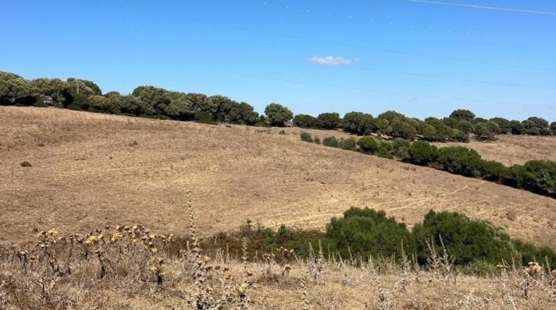 Кадис - Vejer de la Frontera - 80000m2