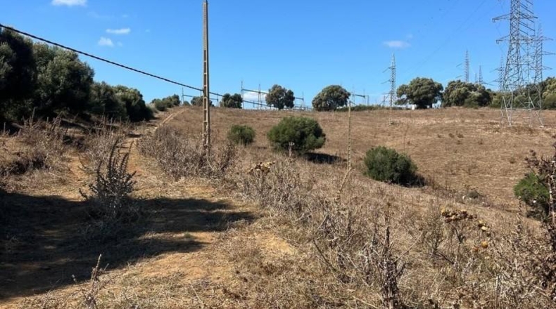 Кадис - Vejer de la Frontera - 80000m2