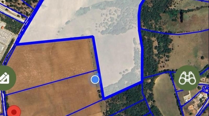 Кадис - Vejer de la Frontera - 80000m2