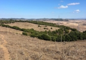 Parcel·la urbanitzable en venda a la España, Vejer de la Frontera, ref.: TR345682 foto