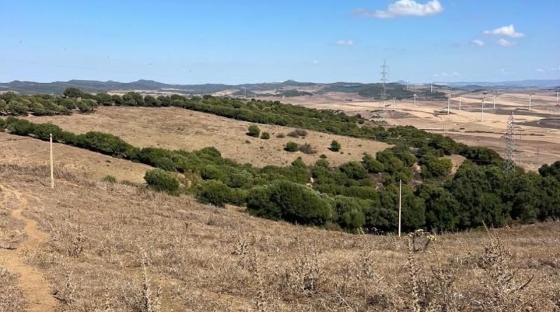 Кадис - Vejer de la Frontera - 80000m2