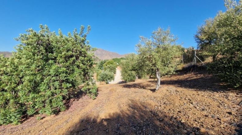 Málaga - Mijas - 7640m2
