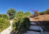 Casa de camp amb terreny en venda a la España, Mijas, ref.: TR345395 foto