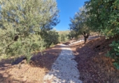 Casa de camp amb terreny en venda a la España, Mijas, ref.: TR345395 foto