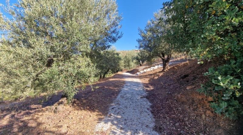 Málaga - Mijas - 7640m2