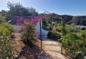 Casa de camp amb terreny en venda a la España, Mijas, ref.: TR345395 foto