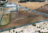 Non-developable land for sale on España, Porreras, ref: TR245944 photo