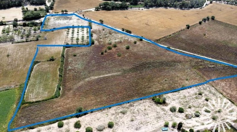 Balearic Islands - Porreras - 30398m2