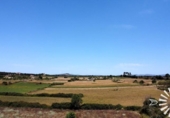Non-developable land for sale on España, Porreras, ref: TR245944 photo