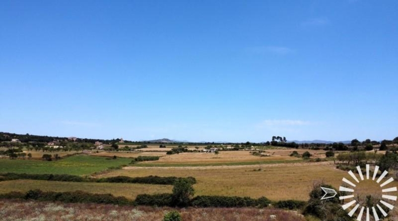 Balearic Islands - Porreras - 30398m2