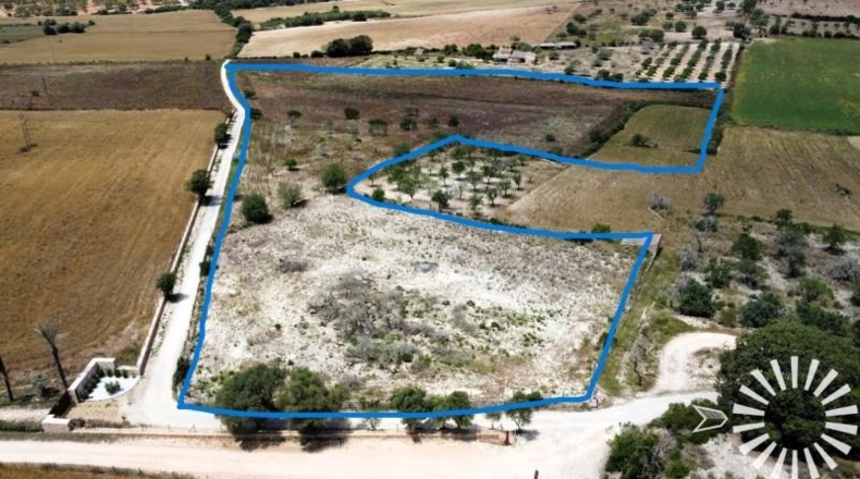 Balearic Islands - Porreras - 30398m2
