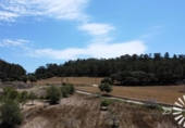 Non-developable land for sale on España, Porreras, ref: TR245944 photo