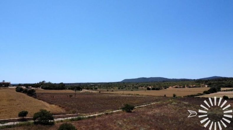 Balearic Islands - Porreras - 30398m2
