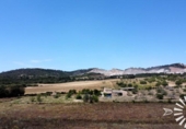 Non-developable land for sale on España, Porreras, ref: TR245944 photo