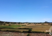 Non-developable land for sale on España, Porreras, ref: TR245944 photo