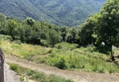 Land suitable for development for sale on España, Bausén, ref: TR343686 photo