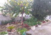 Chalet independiente con terreno en venta en la España, Deltebre, ref: TR269372 foto