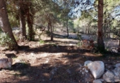 Urban land for sale on España, Moraira, ref: TR382436 photo