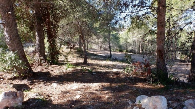 Alicante - Moraira - 851m2
