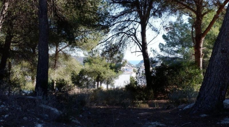 Alicante - Moraira - 851m2