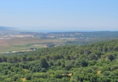 Дом с участком на продажу в городе Vejer de la Frontera Фото