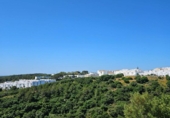 Дом с участком на продажу в городе Vejer de la Frontera Фото