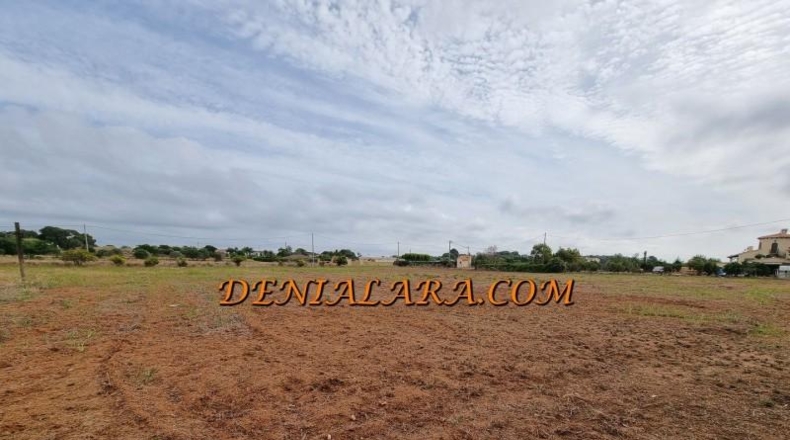 Alicante - Denia - 19000m2