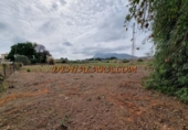 Non-developable land for sale on España, Dénia, ref: TR131064 photo