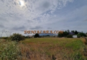Non-developable land for sale on España, Dénia, ref: TR131064 photo
