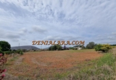 Non-developable land for sale on España, Dénia, ref: TR131064 photo