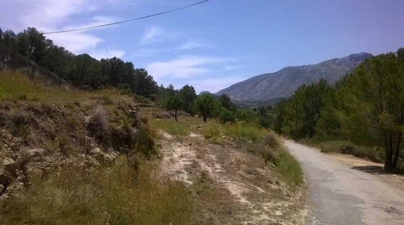 Alicante - Benisa - 15167m2